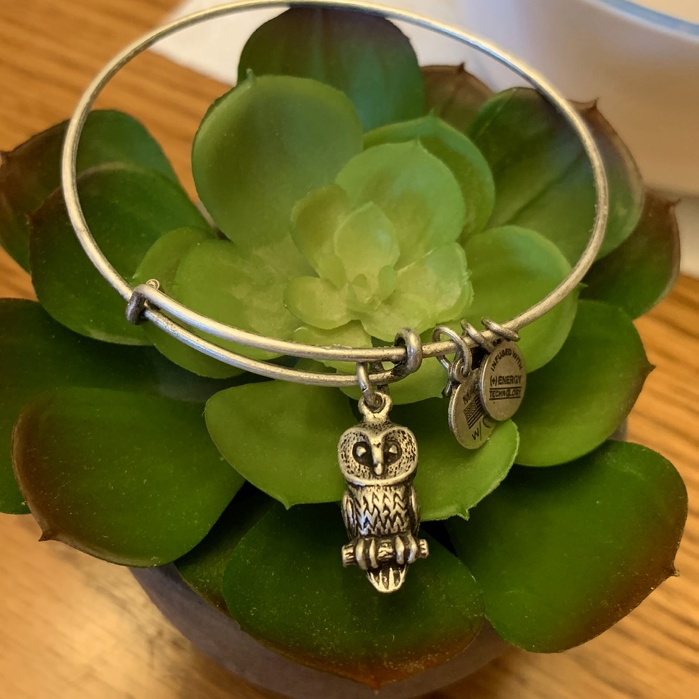Alex and Ani Bracelet - Owl
